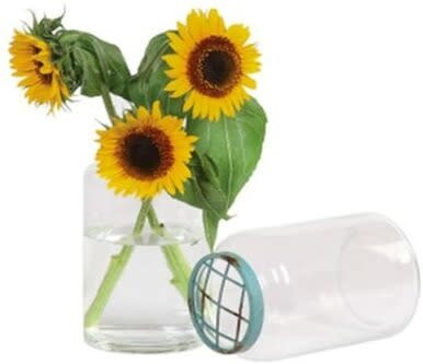 available at m. lynne designs Glass Vase with Turquoise Frog