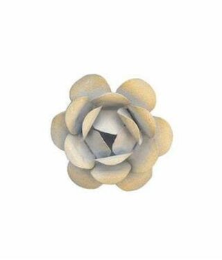 available at m. lynne designs White Rosebud Magnet