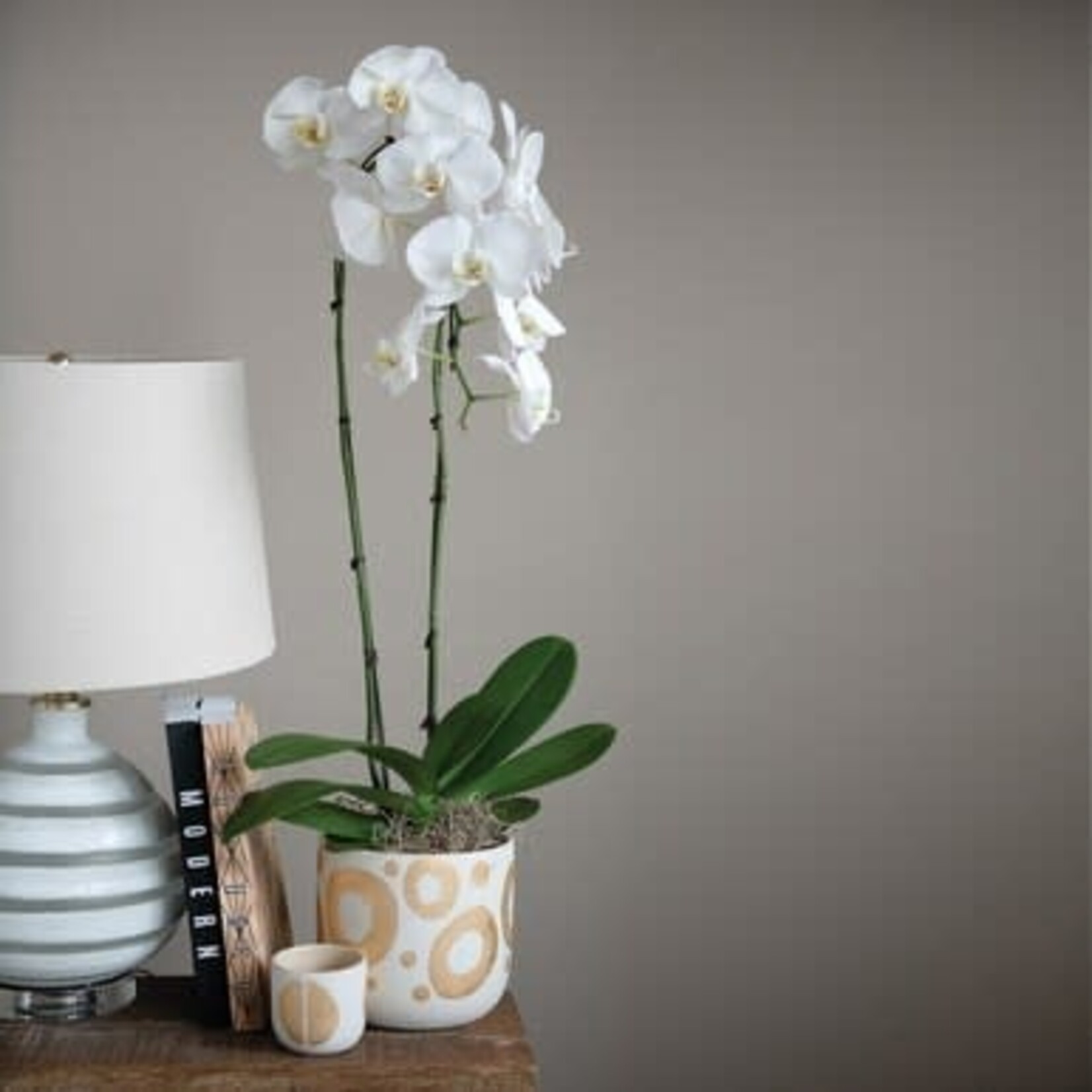m. lynne designs hand-painted vase with gold accents