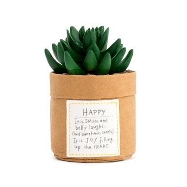 available at m. lynne designs Happy Succulent