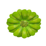 m. lynne designs lime africa daisy magnet