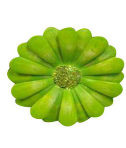 available at m. lynne designs Lime African Daisy Magnet