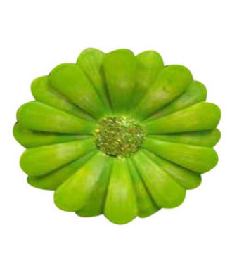 available at m. lynne designs Lime African Daisy Magnet