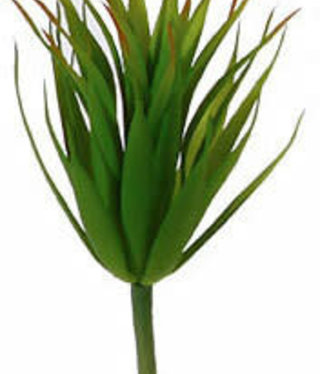 available at m. lynne designs Mini Bush Succulent