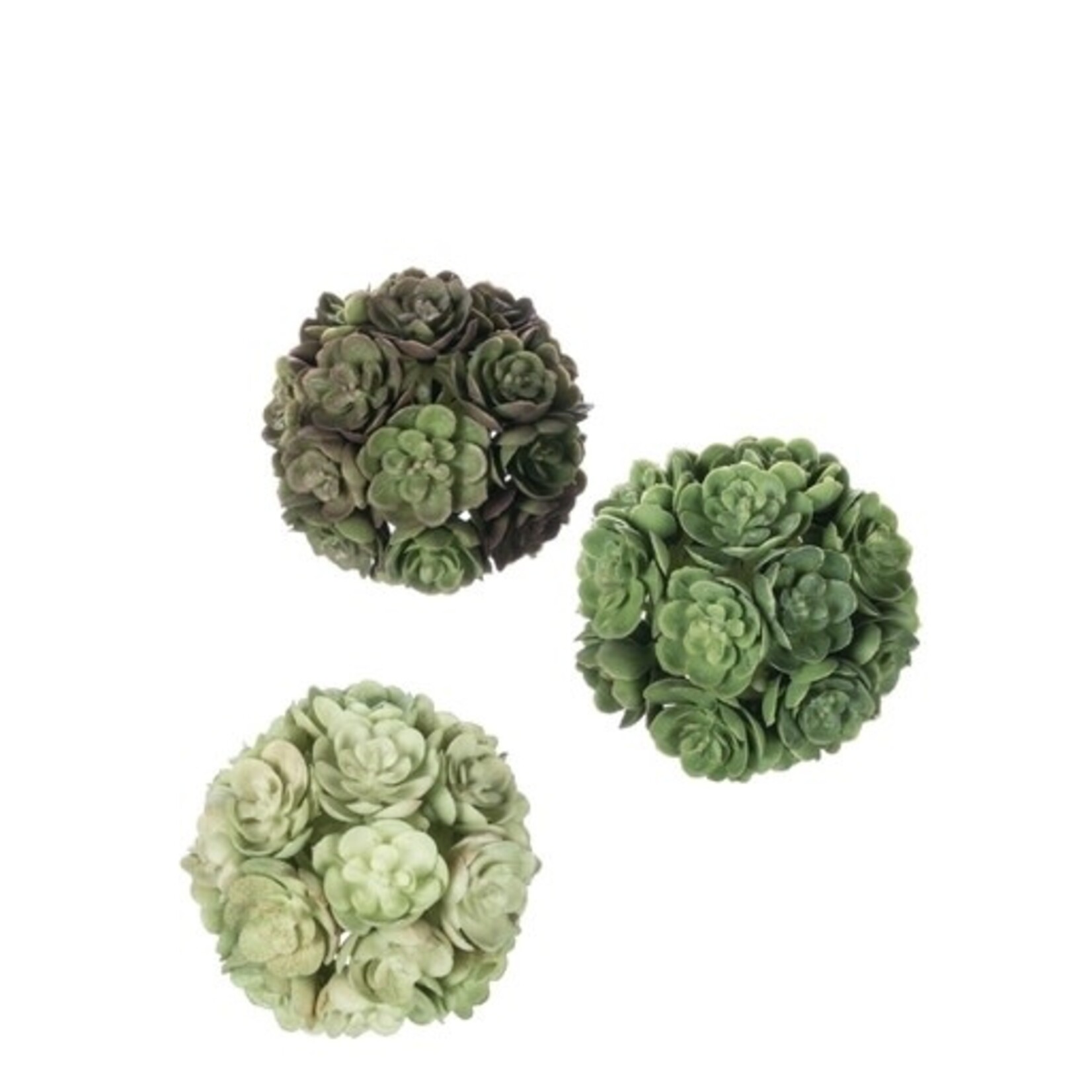 m. lynne designs mini echeveria orb