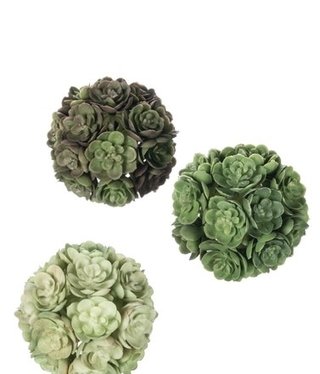 available at m. lynne designs 2" Mini Orb/Echeveria