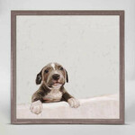m. lynne designs pit bull pup framed canvas
