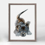 m. lynne designs playful puppy portrait framed canvas
