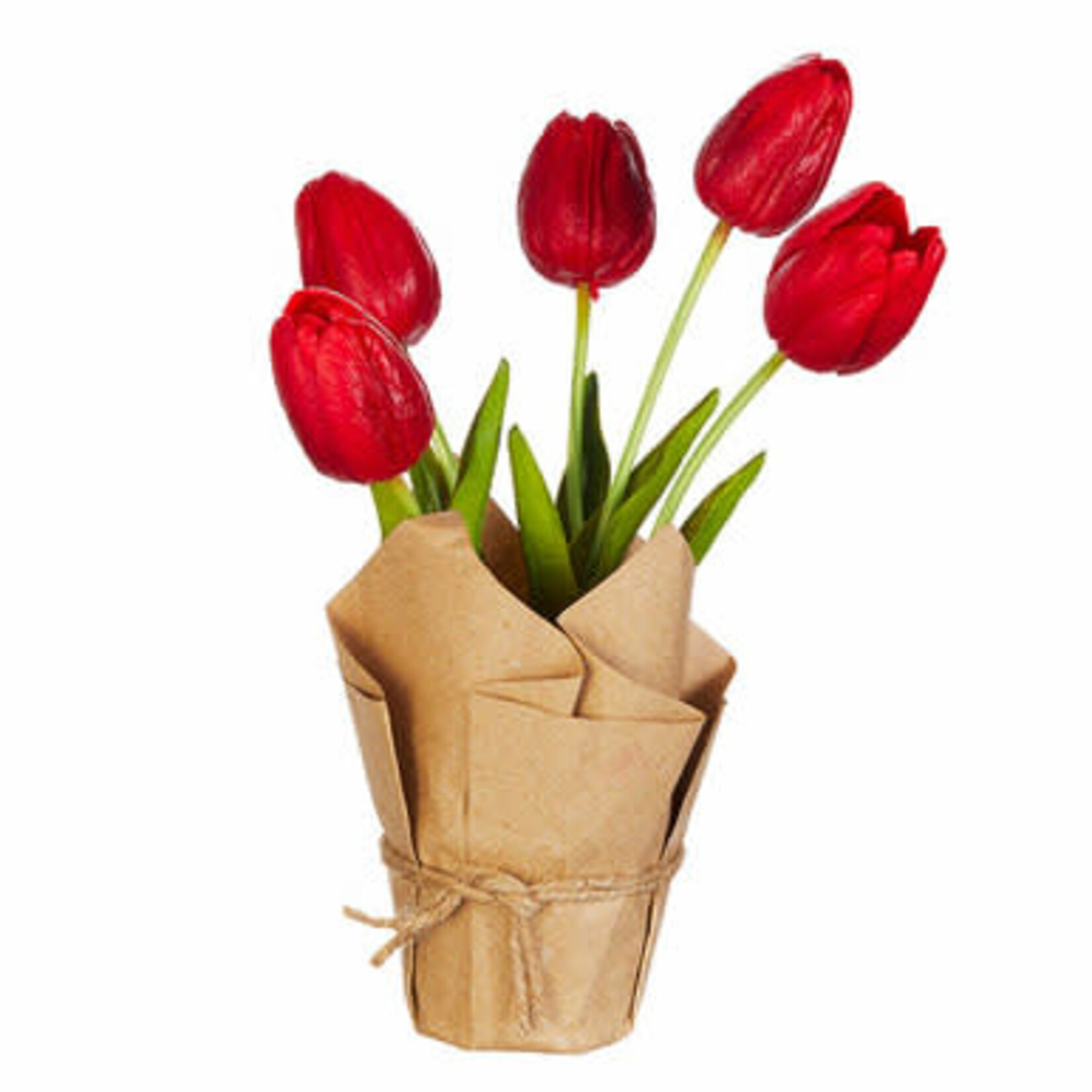 m. lynne designs potted red tulip