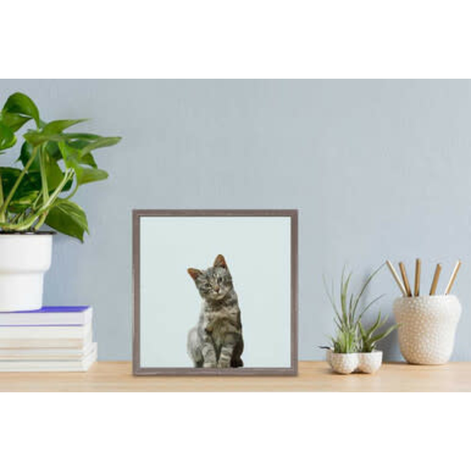 m. lynne designs quizzical cat framed canvas