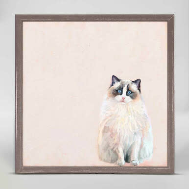 ragdoll cat framed canvas