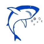 m. lynne designs shark sticker