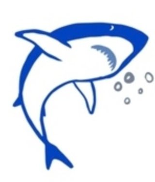 available at m. lynne designs Shark Sticker