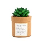 m. lynne designs sunshine succulent