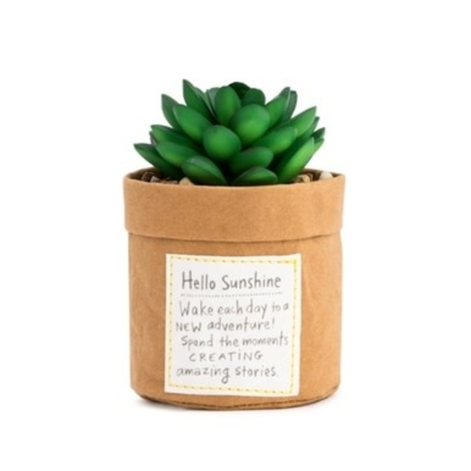 m. lynne designs sunshine succulent