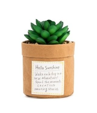 available at m. lynne designs Sunshine Succulent