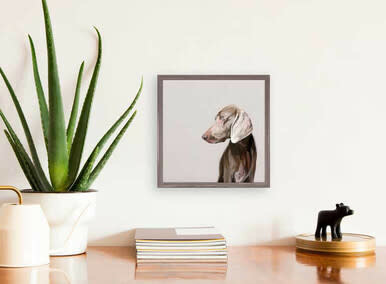 available at m. lynne designs Weimaraner Framed Canvas