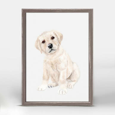 available at m. lynne designs yellow labrador pup framed canvas
