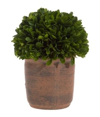 available at m. lynne designs 7" Boxwood Ball in Pot