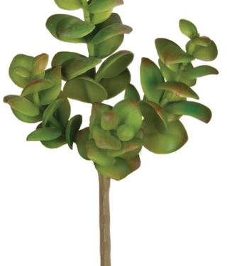 available at m. lynne designs 5.5" Succulent Pick