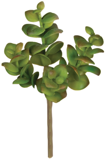 5.5" Succulent Pick