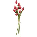 m. lynne designs pink tulip bundle