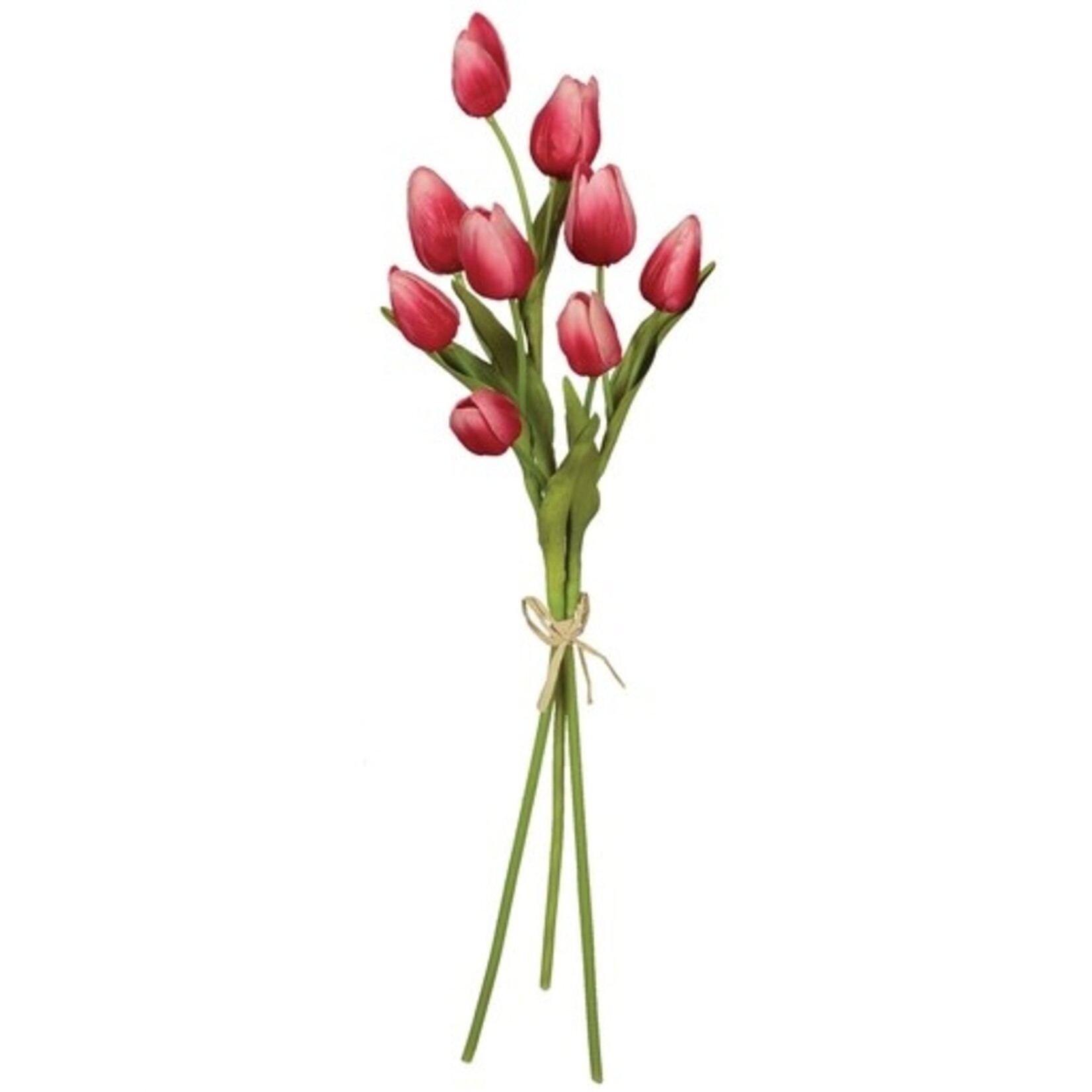m. lynne designs pink tulip bundle