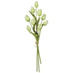 m. lynne designs white tulip bundle