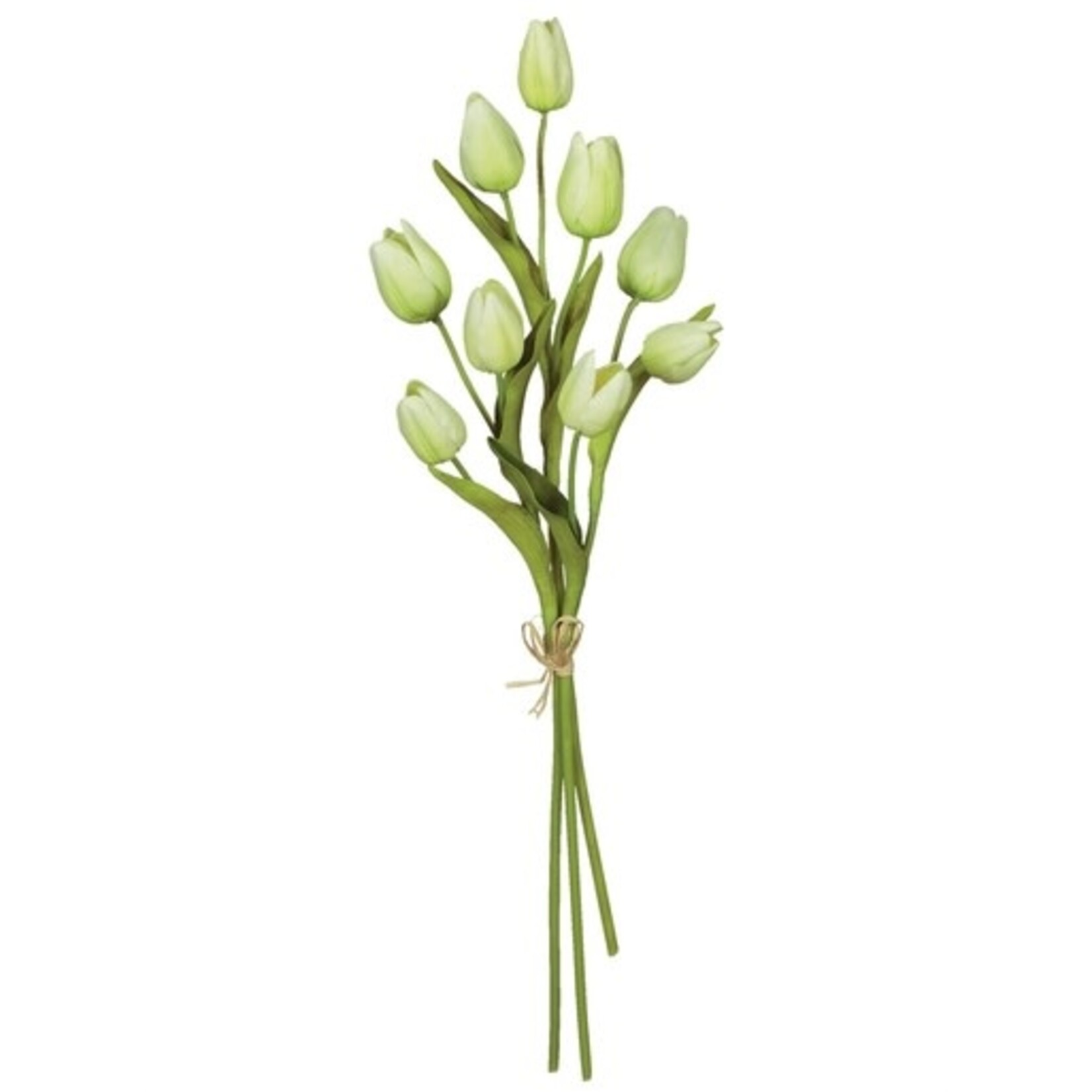 m. lynne designs white tulip bundle