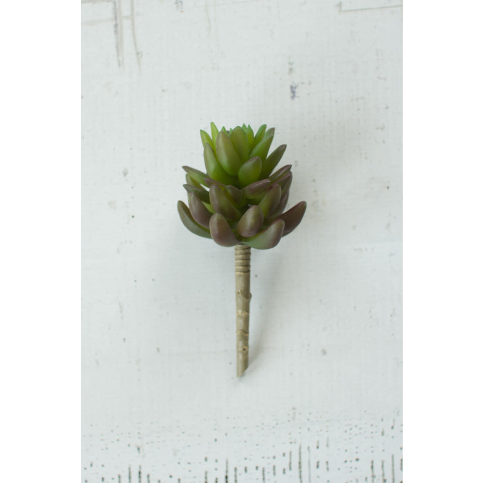 available at m. lynne designs artichoke succulent