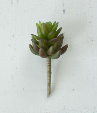 available at m. lynne designs Artichoke Succulent