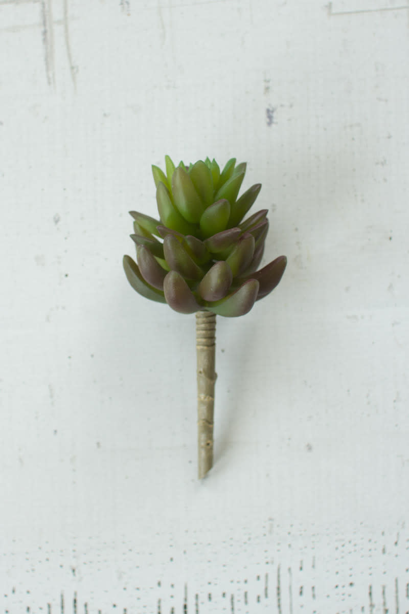 available at m. lynne designs Artichoke Succulent