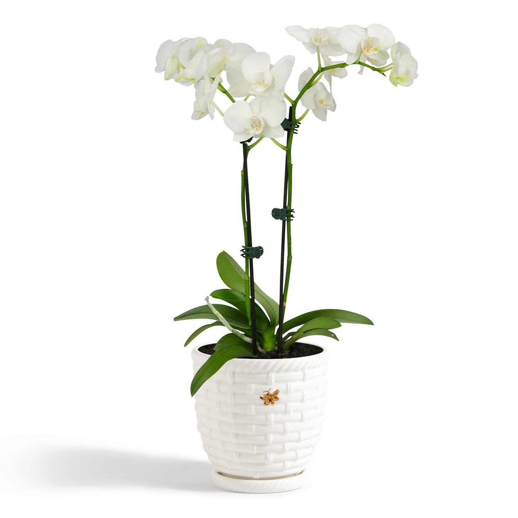 m. lynne designs bee skep planter with saucer