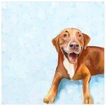 m. lynne designs let's play framed canvas