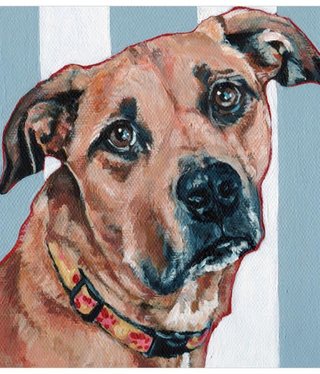 available at m. lynne designs Lexi Dog Framed Canvas