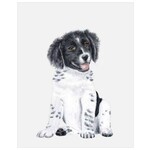 m. lynne designs border collie pup framed canvas