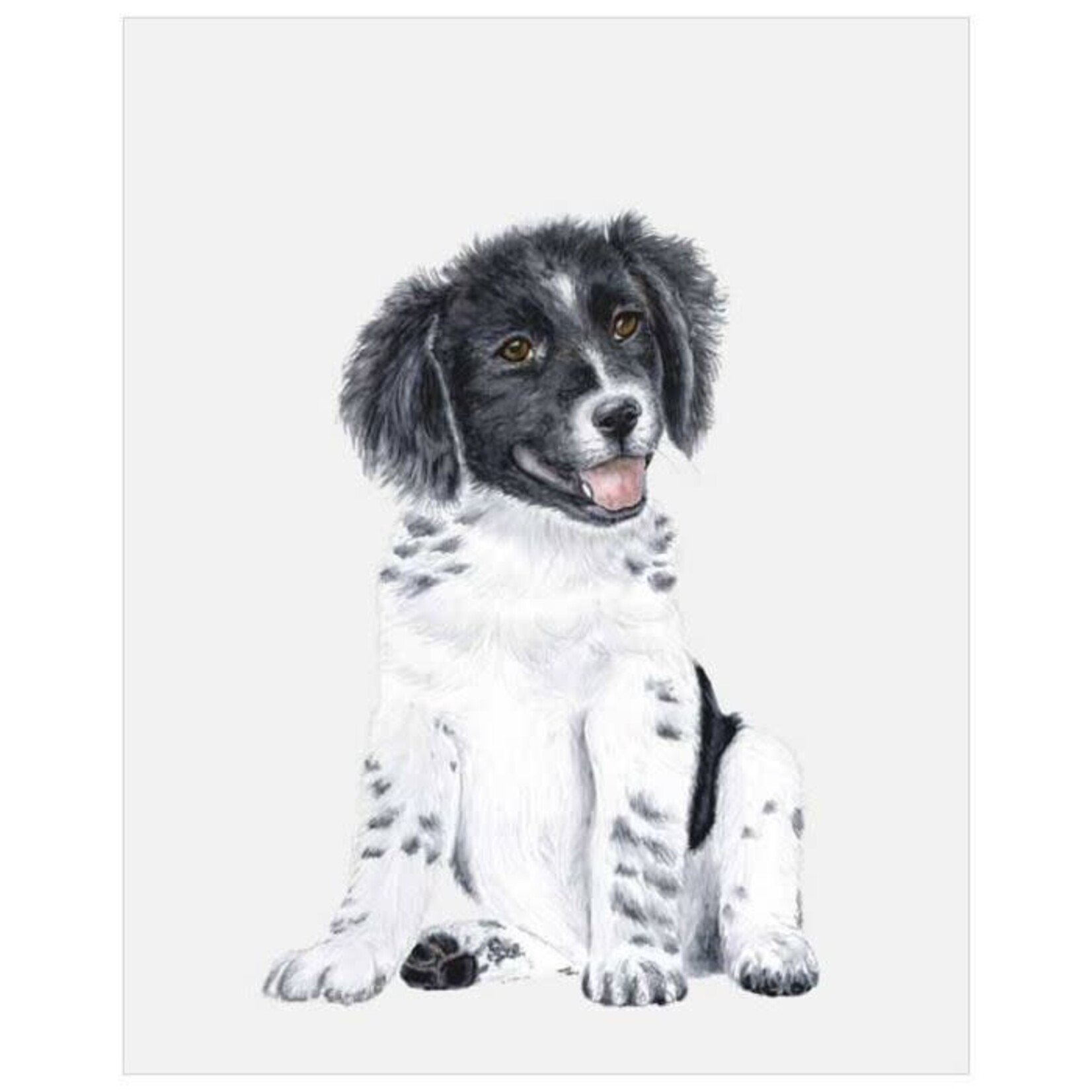 m. lynne designs border collie pup framed canvas