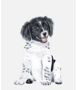 available at m. lynne designs Border Collie Pup Portrait Framed Canvas