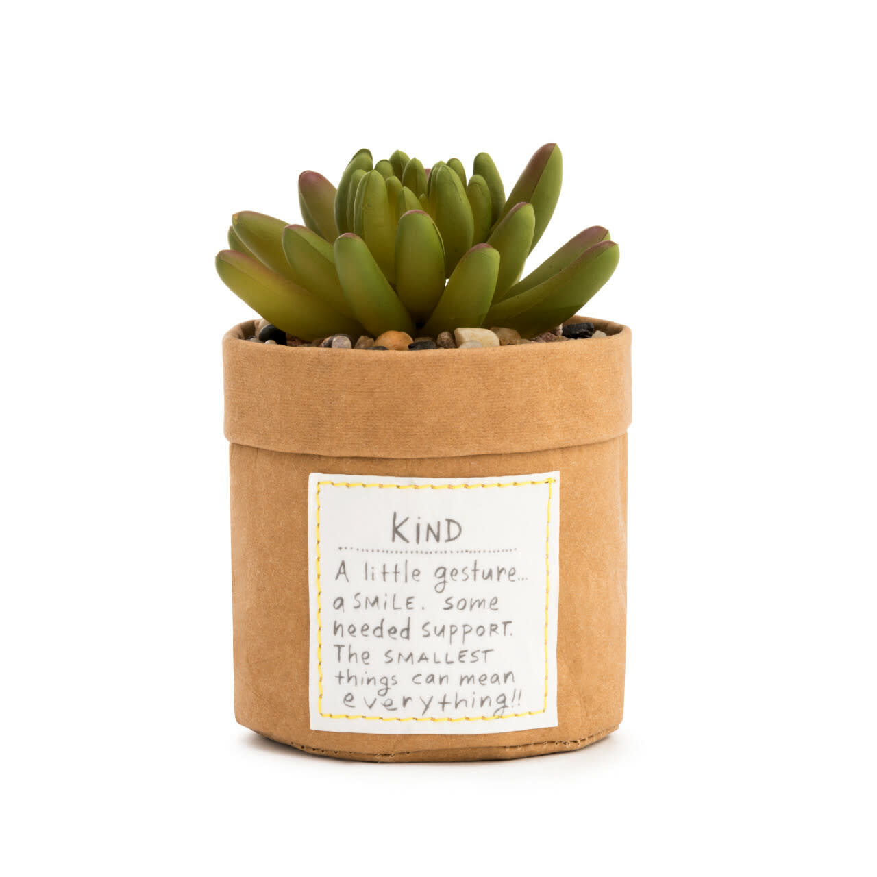available at m. lynne designs Plant Kindness Succulent, Kind