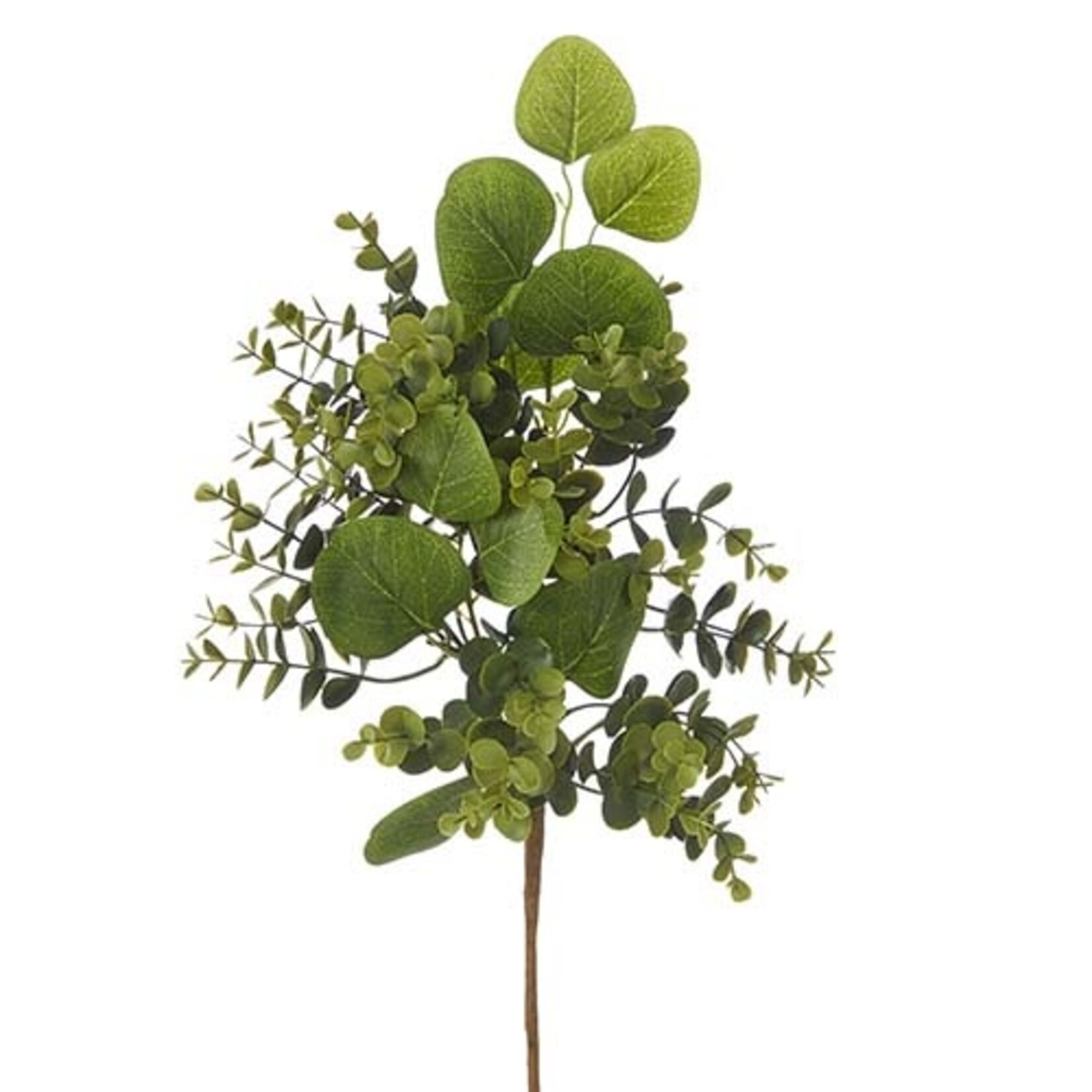 m. lynne designs boxwood & eucalyptus pick
