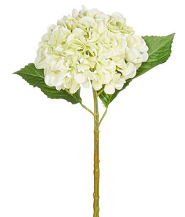 Light Green Real Touch Hydrangea
