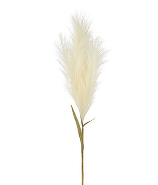 available at m. lynne designs Pampas Grass Plume