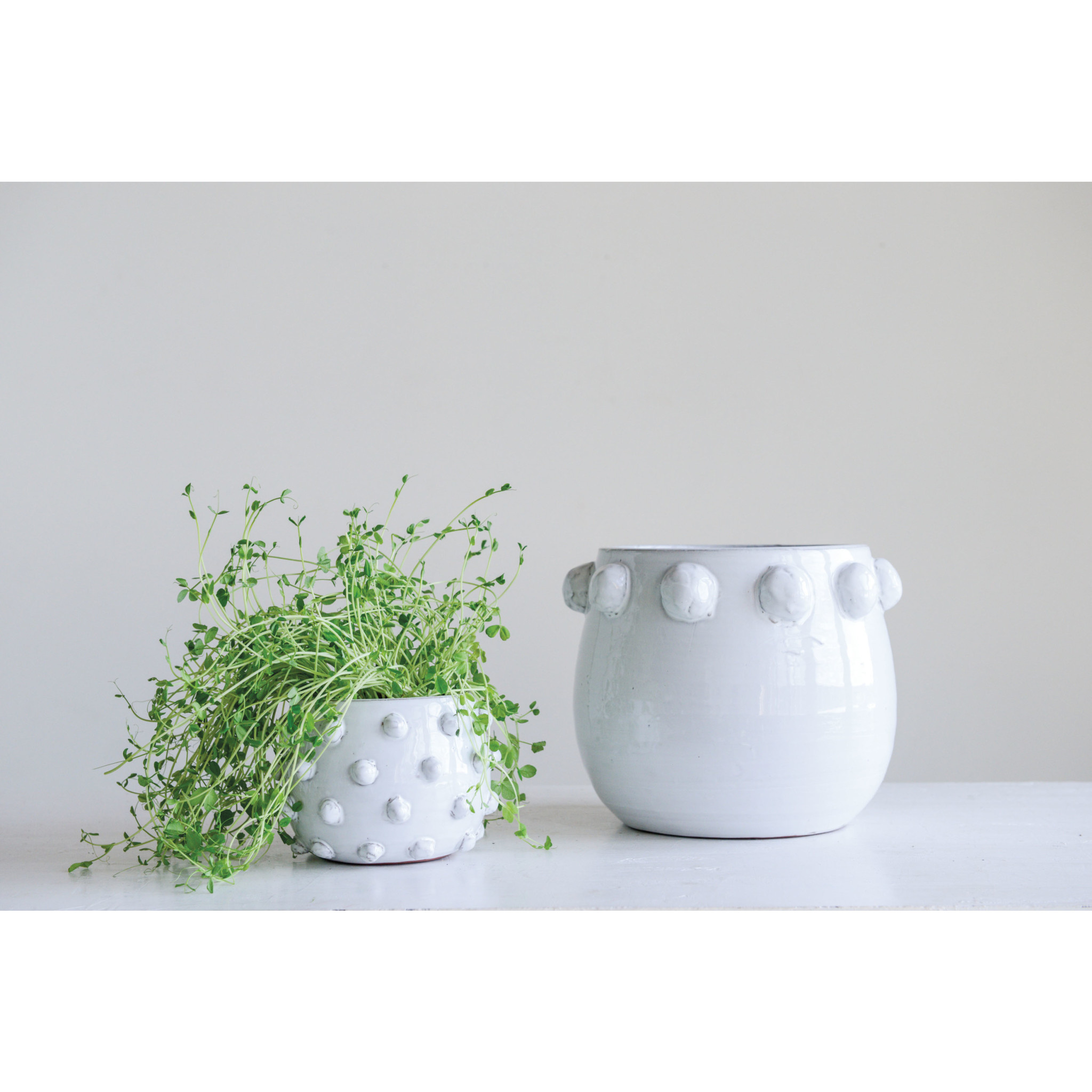 Planter with White Raised Dots