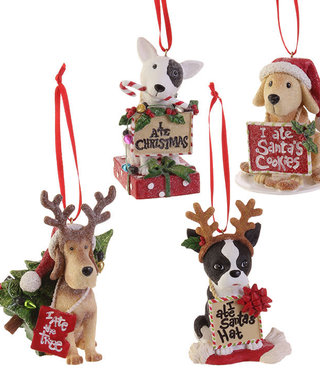 Dog Ate Christmas Ornaments