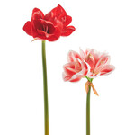 m. lynne designs real touch amaryllis stem