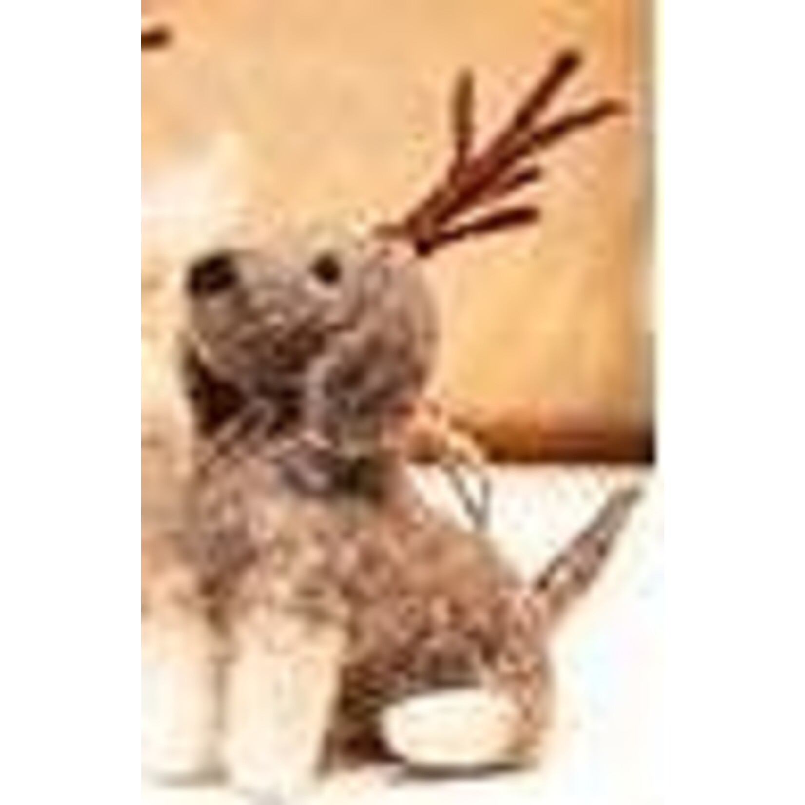 m. lynne designs dog with antler ornament