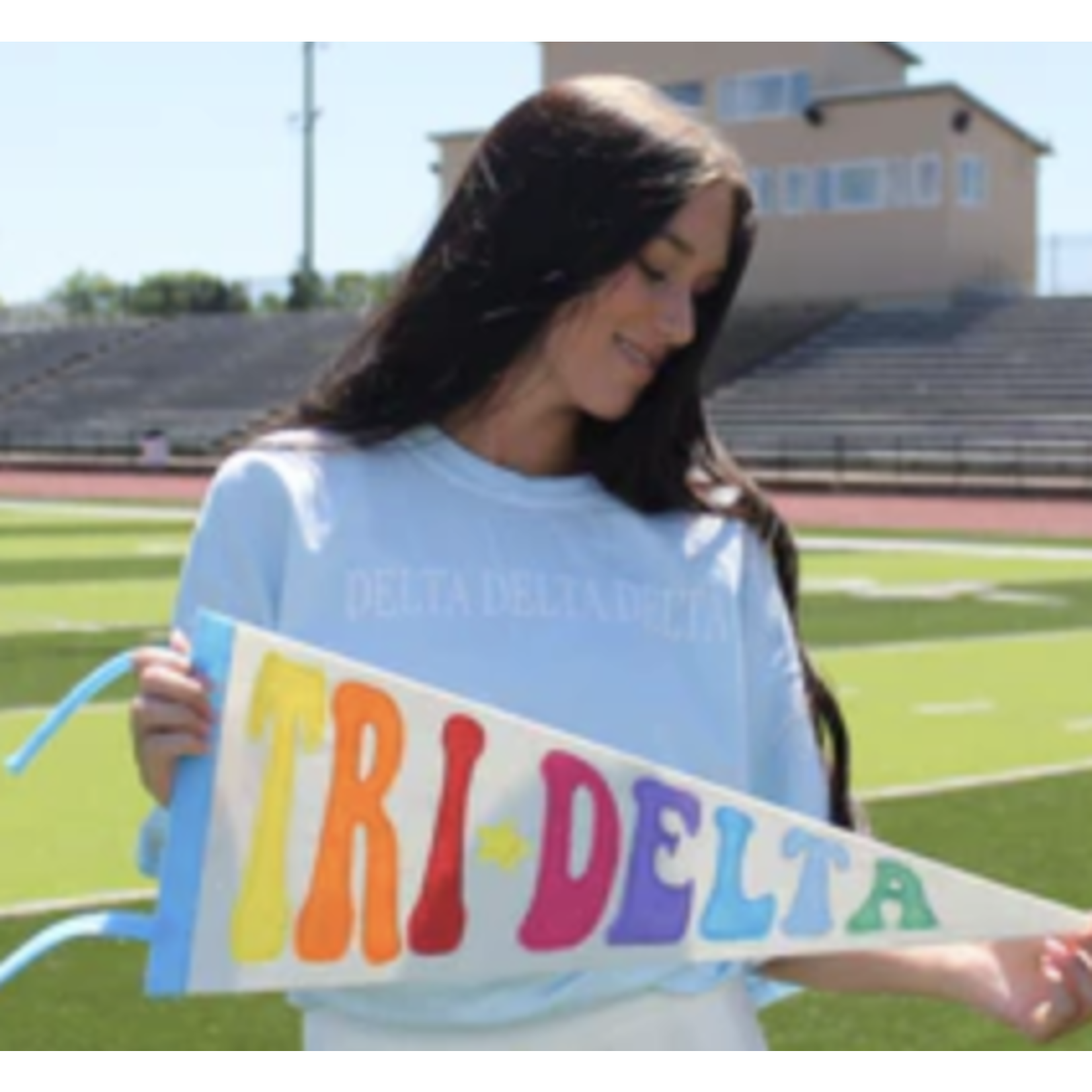 m. lynne designs sorority pennant flag