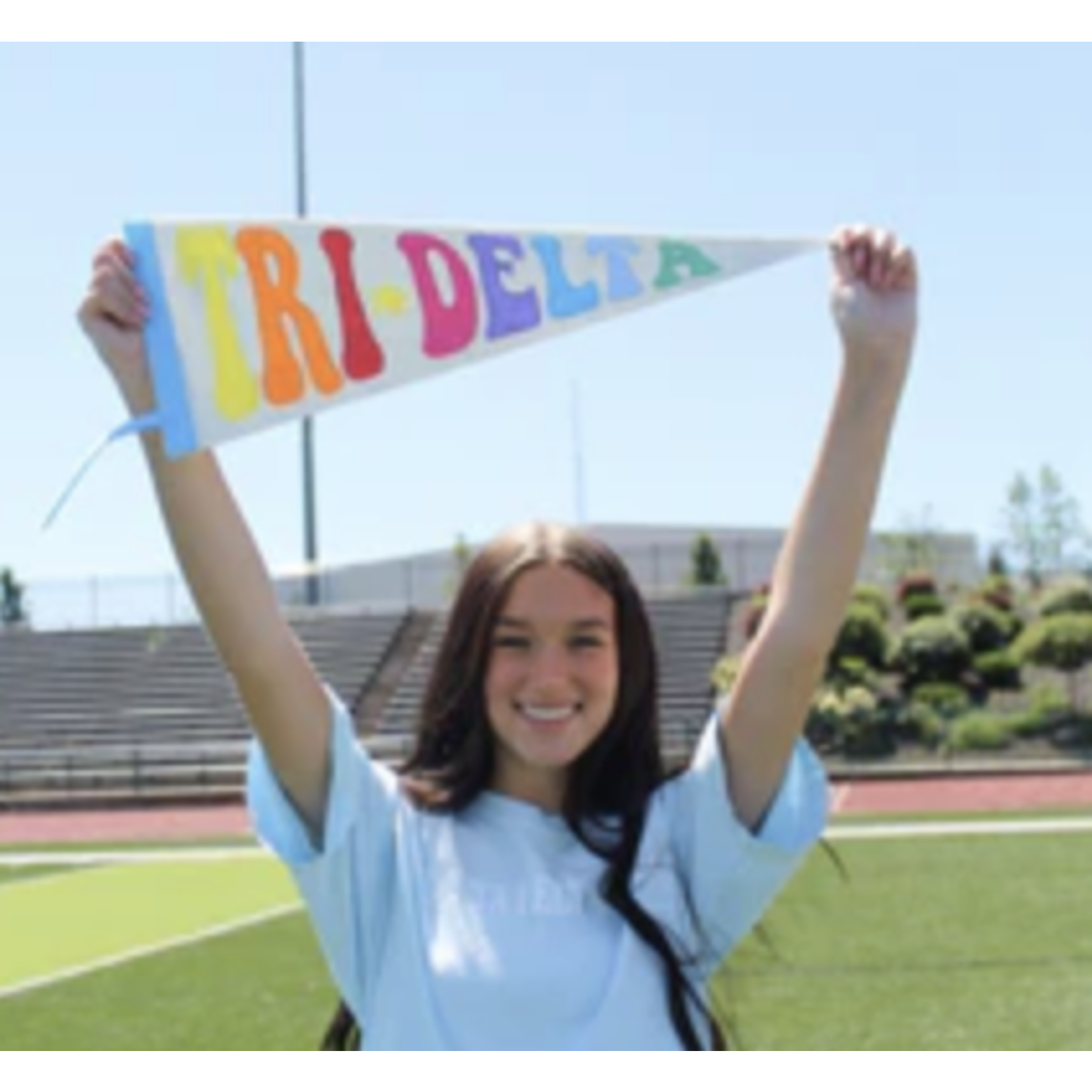 m. lynne designs sorority pennant flag