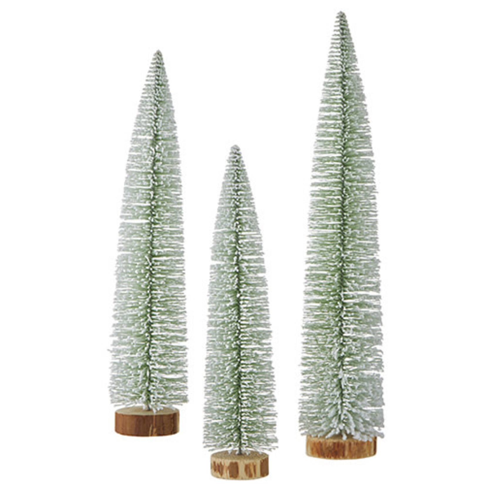 m. lynne designs thin  green snowy bottlebrush tree