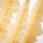 m. lynne designs white shaped bottlebrush tree